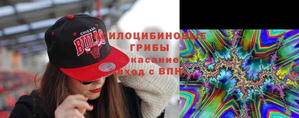 гидра Алексеевка